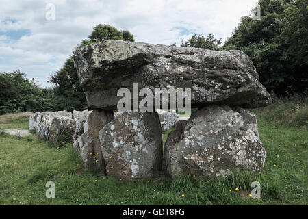 Ramarro, isola di Jersey Foto Stock