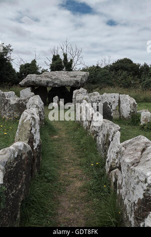 Ramarro, isola di Jersey Foto Stock