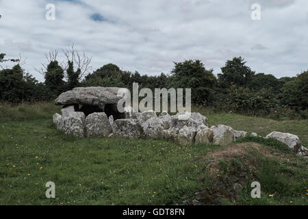 Ramarro, isola di Jersey Foto Stock