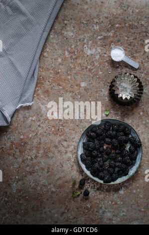 More fresco su una superficie arrugginito Foto Stock