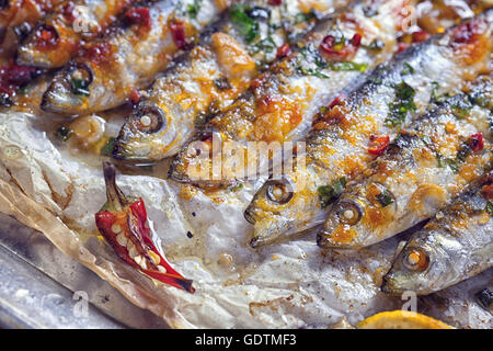 Sardine grigliate sulla placca da forno Foto Stock