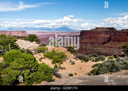 Il Parco Nazionale di Canyonlands in Utah NEGLI STATI UNITI Foto Stock