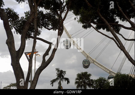 Singapore Flyer Foto Stock