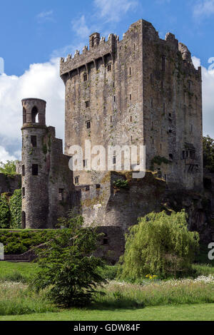 Blarney Castle è una roccaforte medievale in Blarney, vicino a Cork, Irlanda. Foto Stock