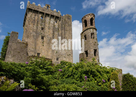 Blarney Castle è una roccaforte medievale in Blarney, vicino a Cork, Irlanda. Foto Stock