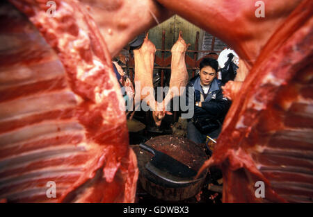 Il mercato della carne nella città di Canton o Guangzhou in nord di Hongkong nella provincia di Guangdong in Cina in Asia orientale. Foto Stock