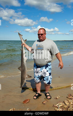 Uomo con un punto morto Smeriglio Squalo sulla spiaggia, catturati nella rete da pesca in mare Foto Stock