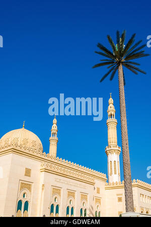Vista di Zabeel moschea a Dubai, Emirati arabi uniti Foto Stock