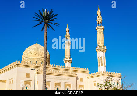 Vista di Zabeel moschea a Dubai, Emirati arabi uniti Foto Stock