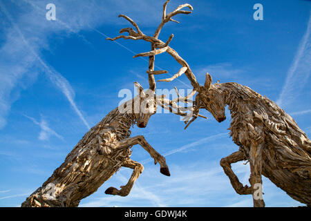 Due sculture in legno Deer, driftwood arte animale invecchiata, stracci, decorazione, statua, testa con antlers intrecciati, ornamento, modello, parco vacanze, turismo, mammifero isolato in cielo blu, statua natura decorativa al RHS Royal Horticulutral Society 2016 Flower Show a Tatton Park, Knutsford, UK Foto Stock