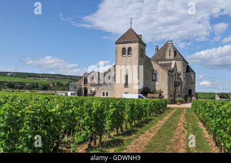 Lo Château de la Tour, Clos de Vougeot, Borgogna Francia Foto Stock