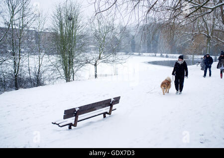 Cane a camminare in mezzo a paesaggi innevati su Hampstead Heath London, England Regno Unito. Foto Stock