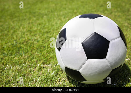 Pallone da calcio in erba verde Foto Stock
