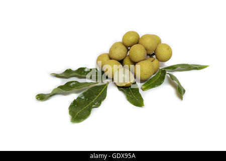 Longan. longan fresco su sfondo bianco Foto Stock