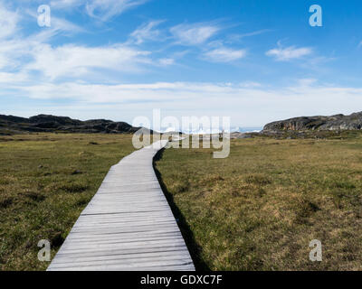 Il Boardwalk a Ilulissat icebergs alimentato da Sermeq Kujalleq ghiacciaio Ilulissat cittadina nel comune di Qaasuitsup in Groenlandia occidentale luglio bella giornata d'estate Foto Stock