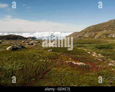 Ilulissat Tourist Nature icebergs alimentato da Sermeq Kujalleq ghiacciaio Ilulissat è una località nel Comune di Qaasuitsup in Groenlandia occidentale luglio bella giornata d'estate Foto Stock