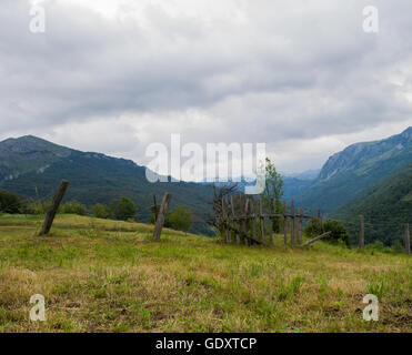 Porta vecchia sul campo Foto Stock