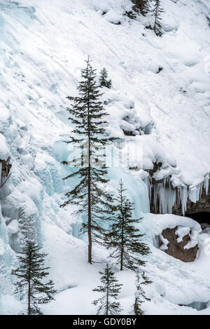 Percorso a Johnston cascata nel Parco di Banff, Alberta, Canada Foto Stock