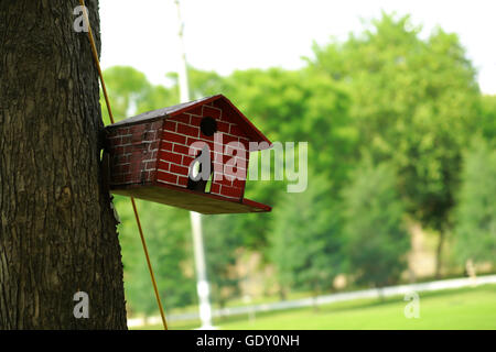 Wooden bird house with green background Foto Stock
