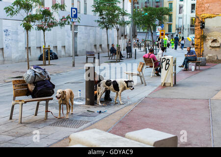 Spagna : Barcellona Barcellona è la capitale cosmopolita della Spagna Catalogna. Essa è definita da arte non convenzionale e un Foto Stock