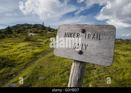Escursionista in legno trail solo segno sulla Appalachian Trail in Virginia. Foto Stock