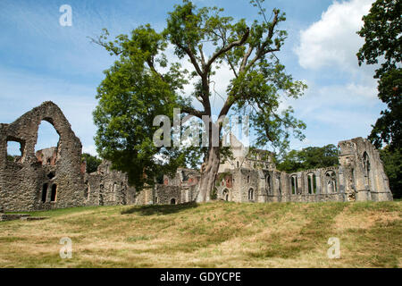 Netley Abbazia fu costruita dai monaci cistercensi nel XIII secolo, sciolto da Enrico VIII e convertito in un maniero prima di cadere in rovina Foto Stock