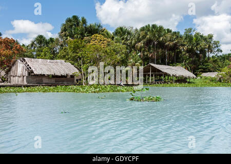 Case Warao-Indian capanne di paglia in un villaggio indigeno, Delta Orinoco, Venezuela Foto Stock