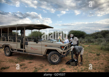 Game Drive Stop per aperitivi serali presso l'Okonjima riserva in Namibia Foto Stock
