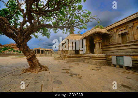 Bellissima vista del tempio Vitthala, tempio complesso, Hampi, Karnataka, India Foto Stock