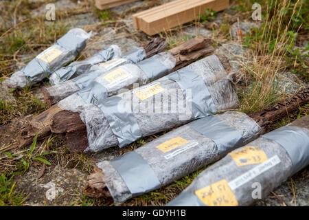 Storage subacqueo archeologico lumbers in Welzow, 21 giu 2016 | Utilizzo di tutto il mondo Foto Stock