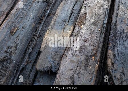 Storage subacqueo archeologico lumbers in Welzow, 21 giu 2016 | Utilizzo di tutto il mondo Foto Stock