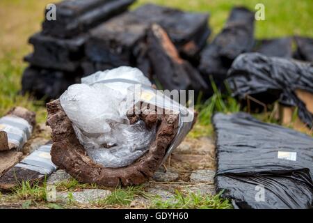 Storage subacqueo archeologico lumbers in Welzow, 21 giu 2016 | Utilizzo di tutto il mondo Foto Stock