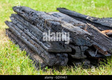 Storage subacqueo archeologico lumbers in Welzow, 21 giu 2016 | Utilizzo di tutto il mondo Foto Stock