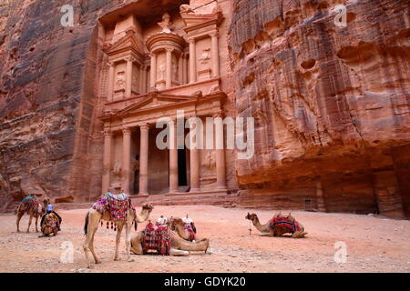 Il Tesoro (Al Khazneh) in Petra, Giordania Foto Stock