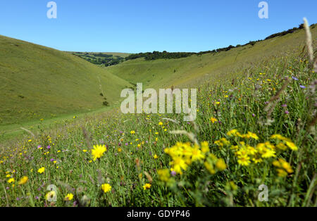 Devil's Dyke, vicino a Brighton, Sussex, Regno Unito Foto Stock