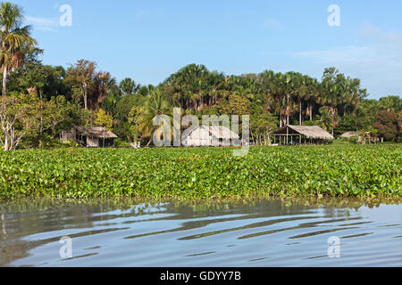 Case Warao-Indian al Riverside, Delta Orinoco, Venezuela Foto Stock