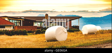 Balla di fieno raccolto nel campo oro paesaggio. Foto Stock