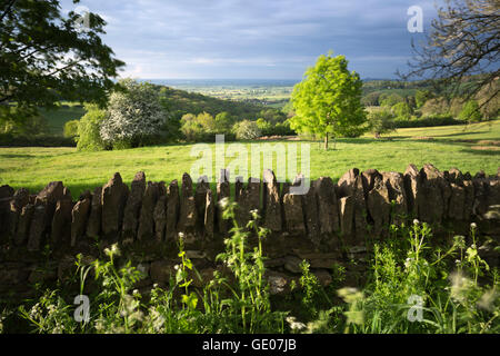 Vista sulla valle di Evesham a secco con muro di pietra, Saintbury, Cotswolds, Gloucestershire, England, Regno Unito, Europa Foto Stock