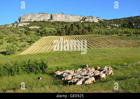 Geografia / viaggi, Francia Provenza, Lioux, La Falaise de la Madeleine, roccia, Additional-Rights-Clearance-Info-Not-Available Foto Stock