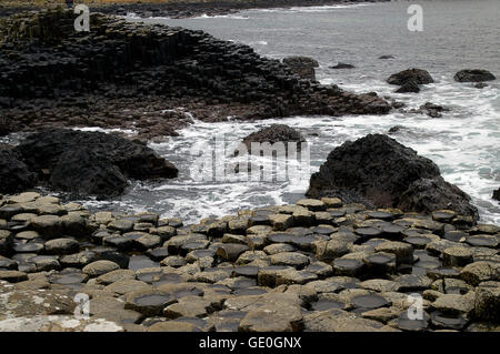 Giant's Causeway in Irlanda del Nord nella contea di Antrim, una grande attrazione turistica e sito del Patrimonio Mondiale Foto Stock