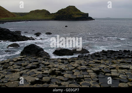 Giant's Causeway in Irlanda del Nord nella contea di Antrim, una grande attrazione turistica e sito del Patrimonio Mondiale Foto Stock