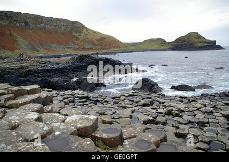 Giant's Causeway in Irlanda del Nord nella contea di Antrim, una grande attrazione turistica e sito del Patrimonio Mondiale Foto Stock