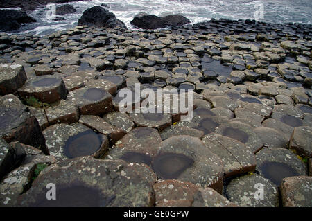 Giant's Causeway in Irlanda del Nord nella contea di Antrim, una grande attrazione turistica e sito del Patrimonio Mondiale Foto Stock