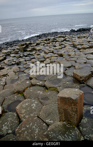 Giant's Causeway in Irlanda del Nord nella contea di Antrim, una grande attrazione turistica e sito del Patrimonio Mondiale Foto Stock