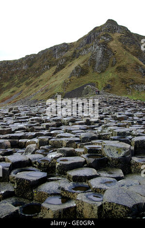 Giant's Causeway in Irlanda del Nord nella contea di Antrim, una grande attrazione turistica e sito del Patrimonio Mondiale Foto Stock