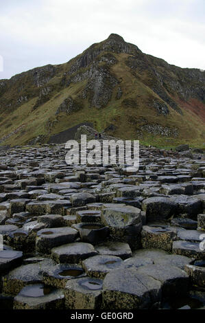 Giant's Causeway in Irlanda del Nord nella contea di Antrim, una grande attrazione turistica e sito del Patrimonio Mondiale Foto Stock