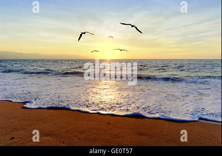 Ocean sunset uccelli è un gruppo di uccelli in volo e un cammino verso la libertà e la luce. Foto Stock