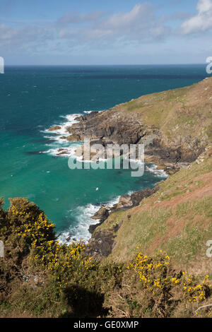 Costa frastagliata e di mare verde, vicino a St Ives, Cornwall, England, Regno Unito, Europa Foto Stock