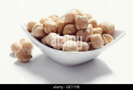 Macadamia Foto Stock