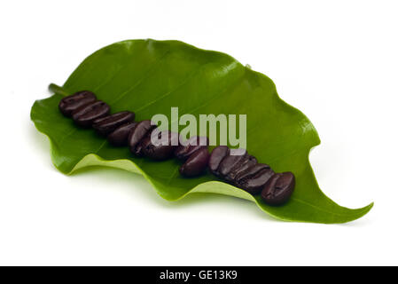 I chicchi di caffè con foglie isolati su sfondo bianco. Foto Stock